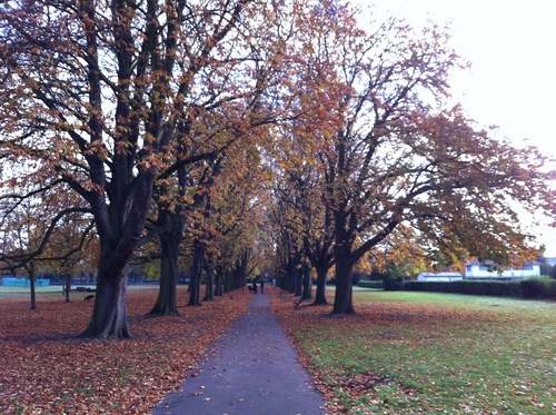 Loving all things Wiltshire