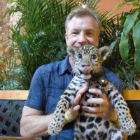 Bruce Howard (@17_howard44568) 's Twitter Profile