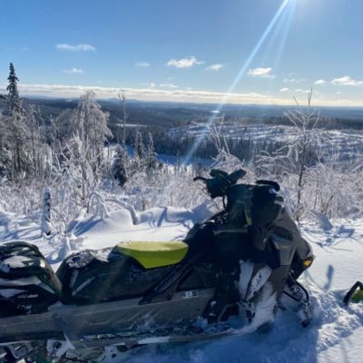 goStricker's profile picture. Je suis un 🫐 cuisinier rebel