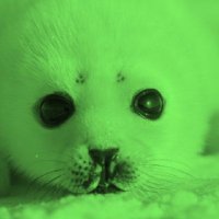 miko🧃🦭 (@iflmhee) 's Twitter Profile Photo miko🧃🦭 (@iflmhee) 's Twitter Profile Photo
