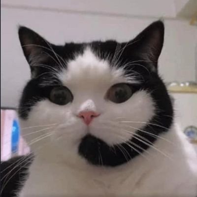 AbdulSomad196's profile picture. 