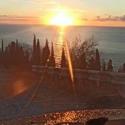 MissLizaluston's profile picture. 