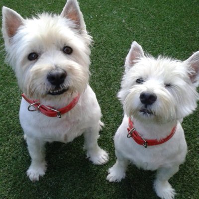 A__J__S__'s profile picture. 