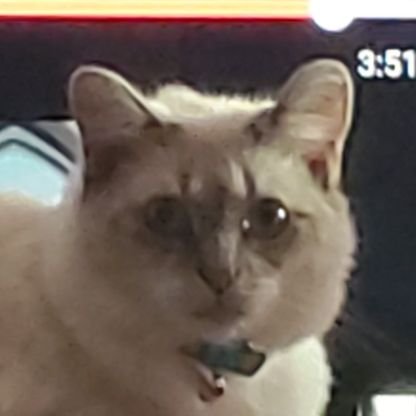 mondisizu13's profile picture. 18/weird/addicted to random things in life