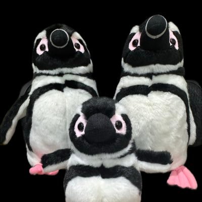 km9497's profile picture. 楽天グループで働くアラサー女です👩
サッカーよく見てます⚽ アビサポですが神戸と川崎も好きです😎
楽天モバイル社員紹介キャンペーン実施中🎉 最大14,000ptもらえます😊
詳しくは投稿や以下URLをご覧ください🥳