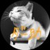 ダー助🐾🐱 (@bish_mikeneko) Twitter profile photo ダー助🐾🐱 (@bish_mikeneko) Twitter profile photo