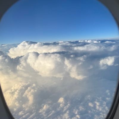 V_HODL's profile picture. 