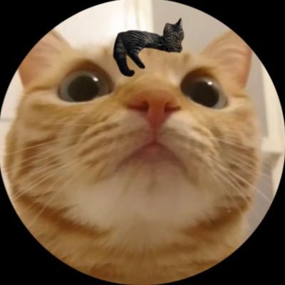 ensemble_obasan's profile picture. あんスタさいっこぉ🥳風早巽くんHOLIC♦️中澤まさともさんがかっこよすぎて死ねるけど生きる🤦🏻‍♀️アイコンは愛猫ちゃん🐈🐈‍⬛💓酒カスです🍺 みんなはっぴーしあわせ！！