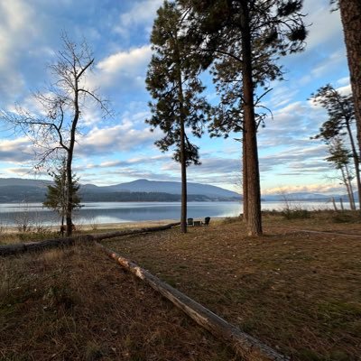 Blake6047337632's profile picture. Go Yanks