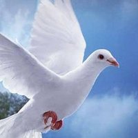 شروق 1 (@3kshfppvtr197) 's Twitter Profile
