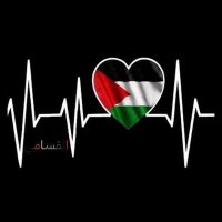 نبض قلبي (@739159212qqq) 's Twitter Profile