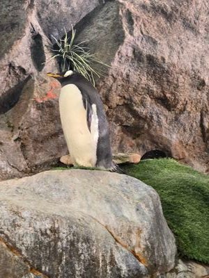 bullmax20's profile picture. 