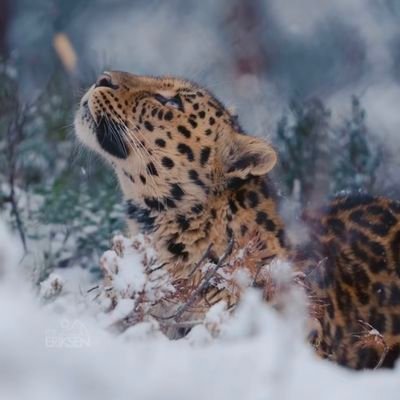 egger1956's profile picture. 