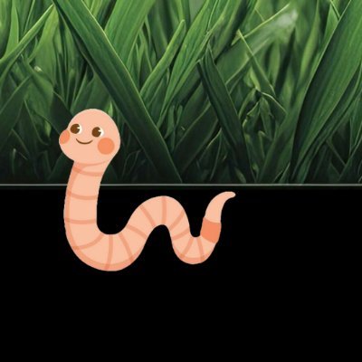 0xWormy's profile picture. the early worm gets the money