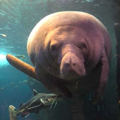 software engineer 低浮上 普段は広告の会社でPerlを書いています 大体Mastodonに居ます↓