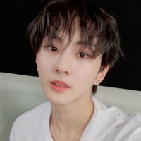 russ (@wonveil) 's Twitter Profile