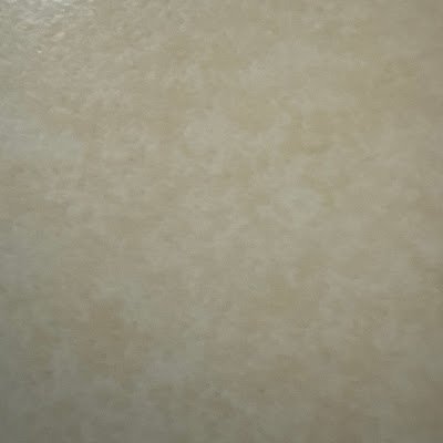 danmor7919's profile picture. 