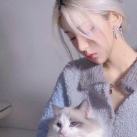 爱上你的菊 (@gaoleng8088) 's Twitter Profile Photo 爱上你的菊 (@gaoleng8088) 's Twitter Profile Photo