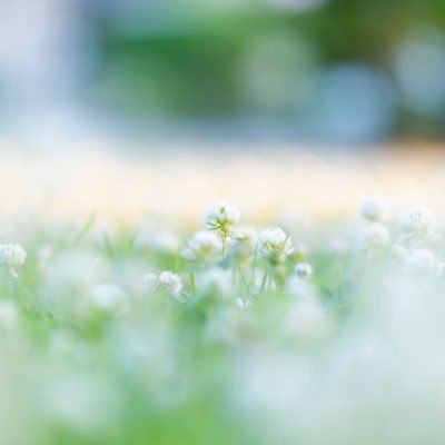 164sakae's profile picture. 週末撮影会に出没するカメコ📸 ∥ 推しをきれいに撮りたい🫶✡️