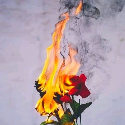 masterkenny24's profile picture. 