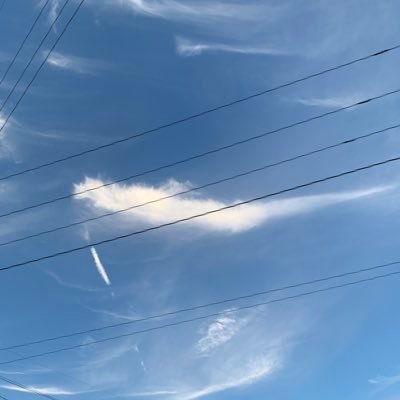 lisalisa1015's profile picture. 