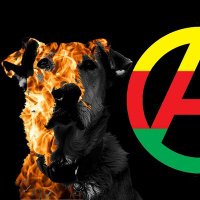 anarchiae (@anarxiae) Twitter profile photo