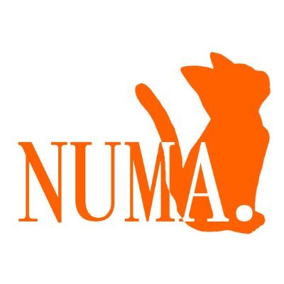 ぬまねこさんのプロフィール画像