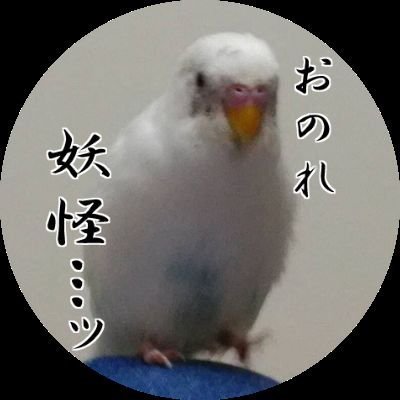 🏴‍☠️皐🦜さんのプロフィール画像