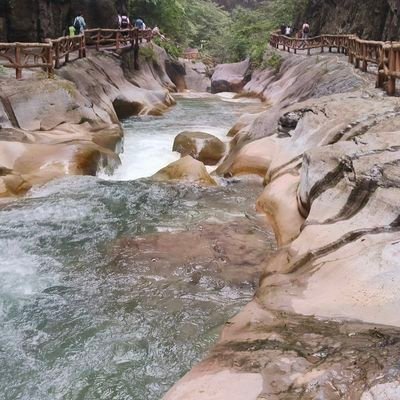 abcd199356's profile picture. 