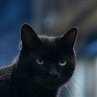 マールー (@purotein6ki6ki) 's Twitter Profile