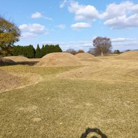 Shiho82 (@wpgltrjing7044) 's Twitter Profile