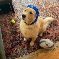Colosky (@colosky5) 's Twitter Profile