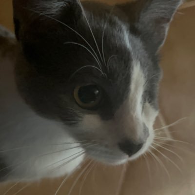 LandenT2007's profile picture. 