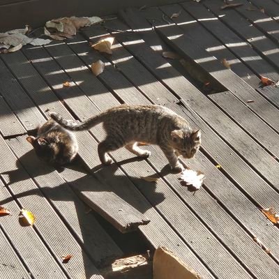 objektsell24's profile picture. 