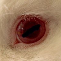 개류 (@gaeryu404) 's Twitter Profile Photo