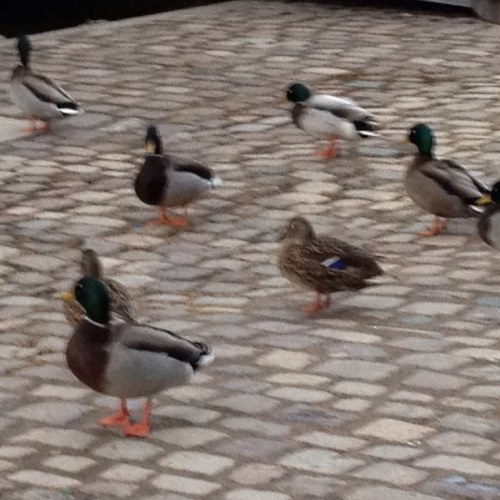 Katalyst777's profile picture. 