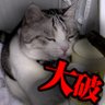 uninosuke's profile picture. どこかのパソコン屋さんだけどもうこの業界からは離れたい。猫と犬と小魚。さいきんは馬とウマが好き。