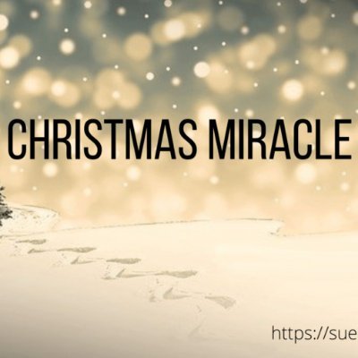 If a boomer live streamer can push a coin from nothing to 260 million market cap, then the crypto community can create a Christmas Miracle and push this to a bi