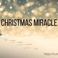 Christmas Miracle (@stanley08442521) 's Twitter Profile Photo Christmas Miracle (@stanley08442521) 's Twitter Profile Photo