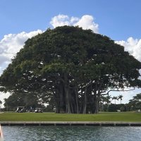 Rodrigue K (@rodriguez310504) 's Twitter Profile