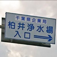 かしわい (@ka_shiwai) 's Twitter Profile Photo