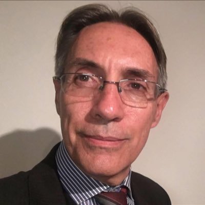 Dr Cs Políticas Investigación/Docencia: Derecho Constitucional/Administrativo; Conceptos/Lenguajes Políticos en las Revoluciones Atlánticas; Gobierno/Política.