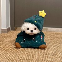 Candy (@candywhanjieb) 's Twitter Profile Photo Candy (@candywhanjieb) 's Twitter Profile Photo