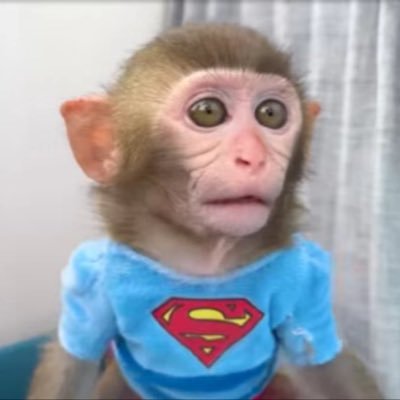 MuRYGe's profile picture. Bonbon -OG