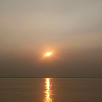 Harsh Parekh (@hassanpearlec) 's Twitter Profile