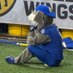 Those Who Stay Will Be Champions (@the_bison_logo) Twitter profile photo Those Who Stay Will Be Champions (@the_bison_logo) Twitter profile photo