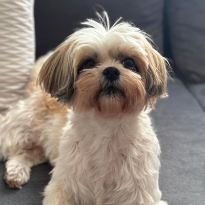 Ella_Leelaa's profile picture. 