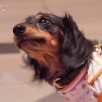 💗 Kiddie125 (@skknguyen) 's Twitter Profile