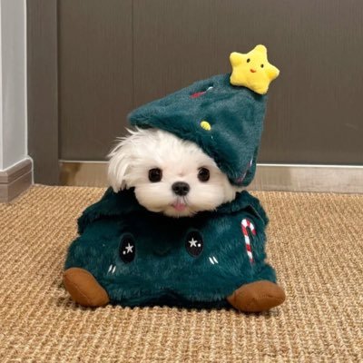 bnaen98's profile picture. 