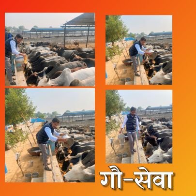 AnisQureshi850's profile picture. राष्ट्रीय स्वयंसेवक संघ,
जिला संयोजक-मुस्लिम राष्ट्रीय मंच,झुंझुनूं
जिलाध्यक्ष-पसमांदा मुस्लिम समाज उत्थान समिति,राजस्थान (रजि.),झुंझुनू